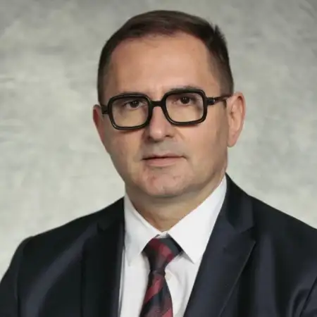 Prof. dr Nebojša Marić
