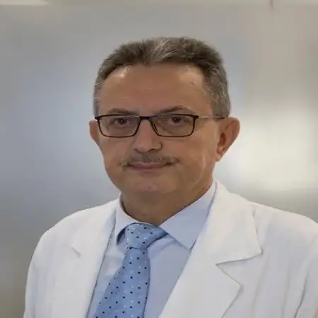 Prof. dr Siniša Avramović