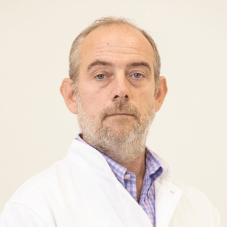 Prof. dr Vojislav Giga