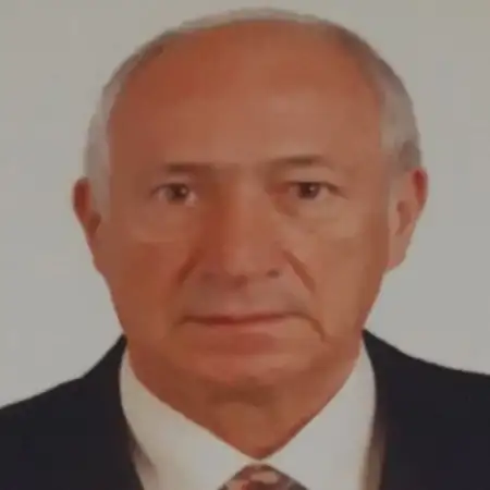 Prof. dr Vladimir Borišev